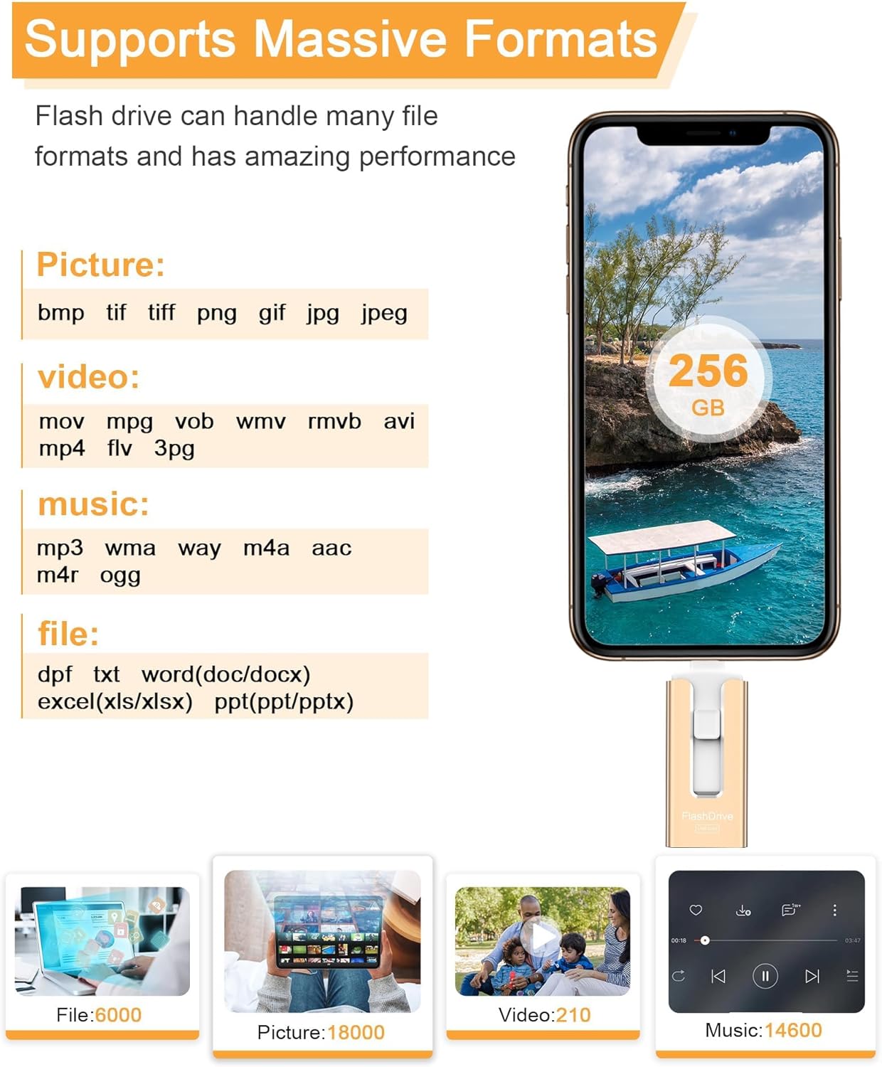 GNASEET 256GB USB Flash Drive for Phone and Pad, Photo Stick High Speed External USB Thumb Drives Photo Storage Memory Stick for Save More Photos and Videos (Gold, 256GB)