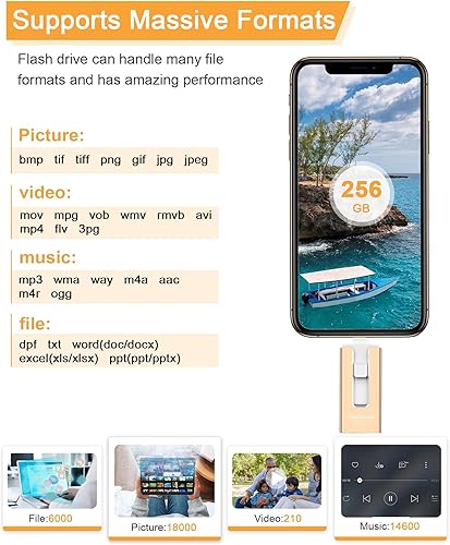 Miniatura 25 de Unidad flash USB de 256 GB para teléfono y almohadilla, memoria USB externa de alta velocidad para guardar más fotos y videos (azul, 256 GB)
