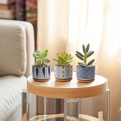 Miniatura 2 de T4U Juego de 3 macetas para suculentas con bandeja de bambú, macetas de cerámica de 3 pulgadas para plantas, maceta de estilo japonés, regalo para
