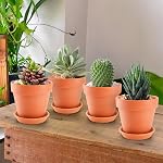 4 Pack Terracotta Plant Pots with Saucer, Large 6 Inch Terra Cotta Plant Pot with Drainage Hole, Clay Flower Pot with Tray for Indoor Outdoor Plants, Crafts Terra Cotta Planter