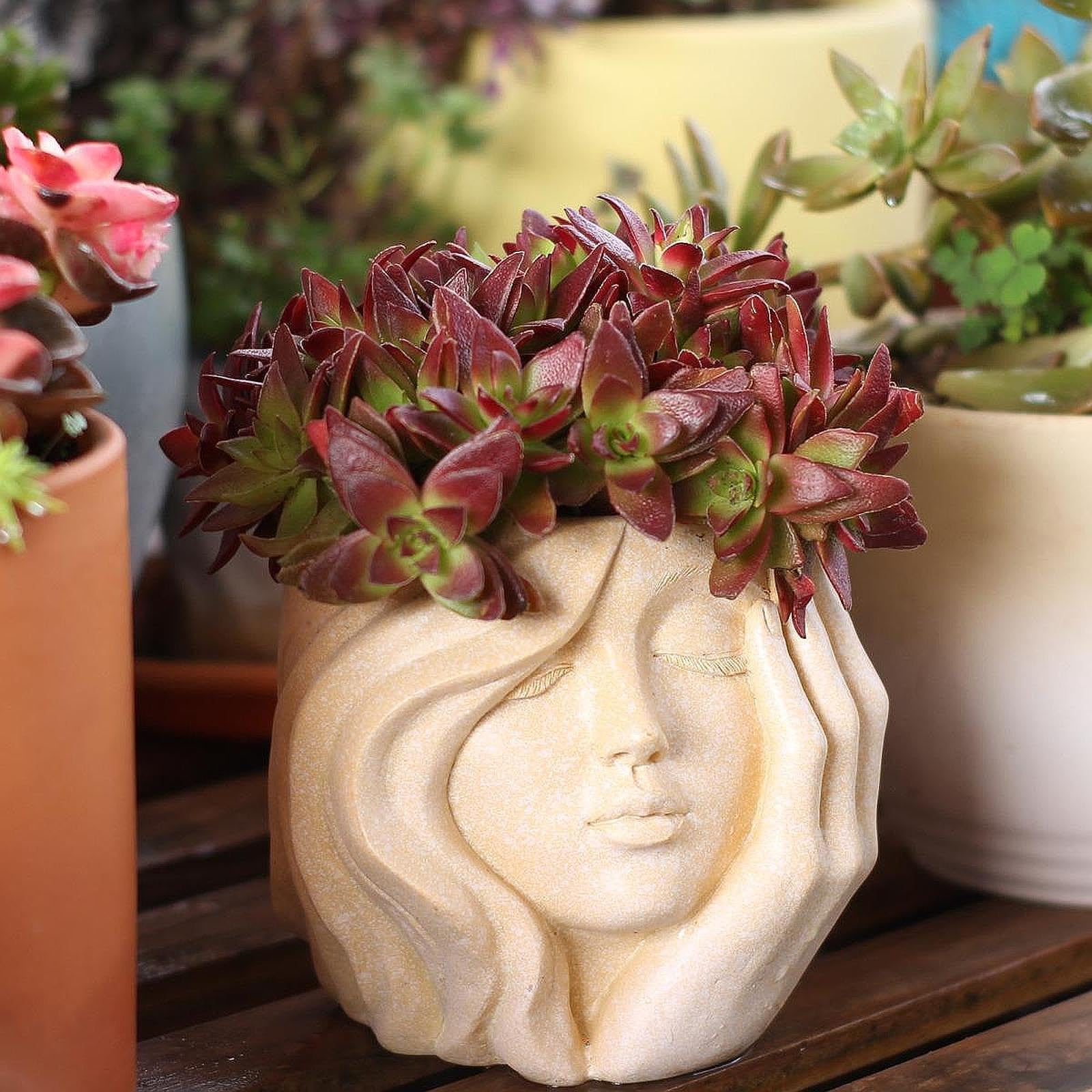 Vaso per Piante Facciali per Interni Ed Esterni, Fioriere per Terrazza, Balcone E Ufficio