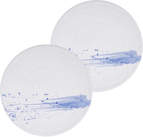 Round Serving Platter Sushi Plate - 10inch Charcuterie Board Stoneware Flat Serving Plate for Party,Appetizer,Dessert,Cheese,Set of 2, (Blue)