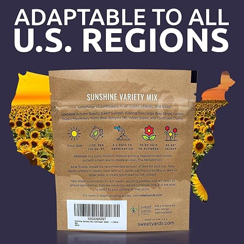 Miniatura 16 de Semillas de girasol a granel, variedad de 10 tipos de hermosos girasoles, bolsa de 1/4 de libra, semillas de girasol polinizadas abiertas