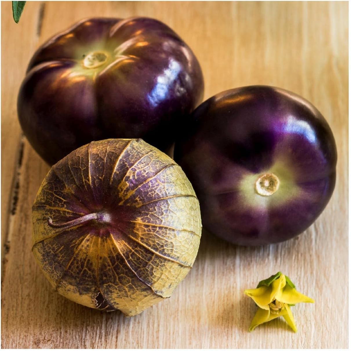 Everwilde Farms - 1 Oz Organic Purple Tomatillo Tomatillo Seeds - Gold Vault Packet