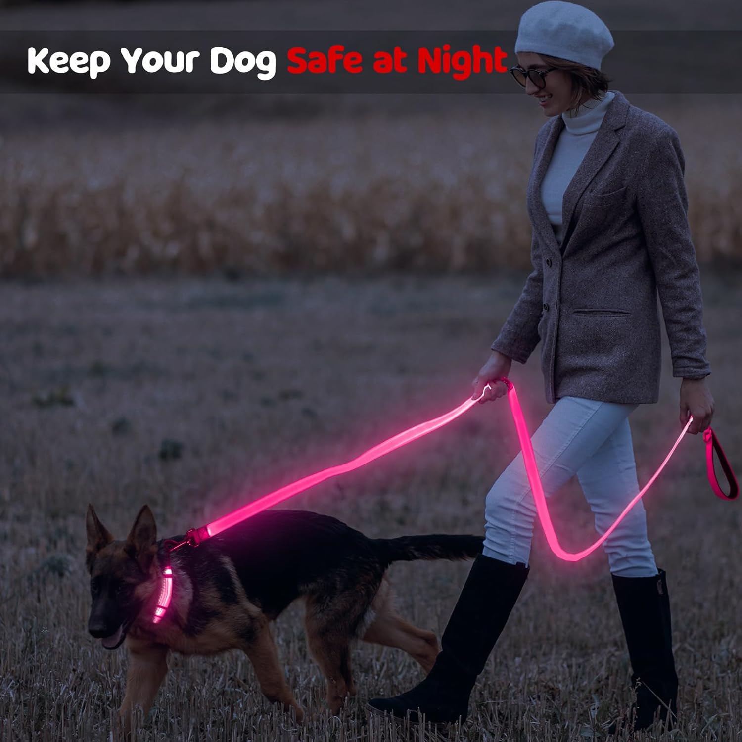 LED Dog Leash Light Up 6 Feet Micro USB Rechargeable Nylon Webbing Glow Safety Standard for Dogs by Bpawser (Pink)