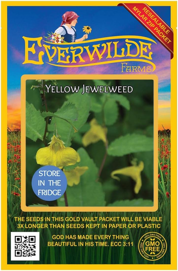Everwilde Farms - 1/4 Lb Yellow Jewelweed Native Wildflower Seeds - Gold Vault