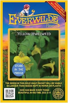 Everwilde Farms - 5 Yellow Jewelweed Native Wildflower Seeds - Gold Vault Seed Packet
