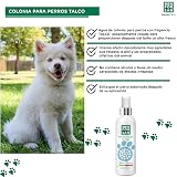 Ver la foto 4
