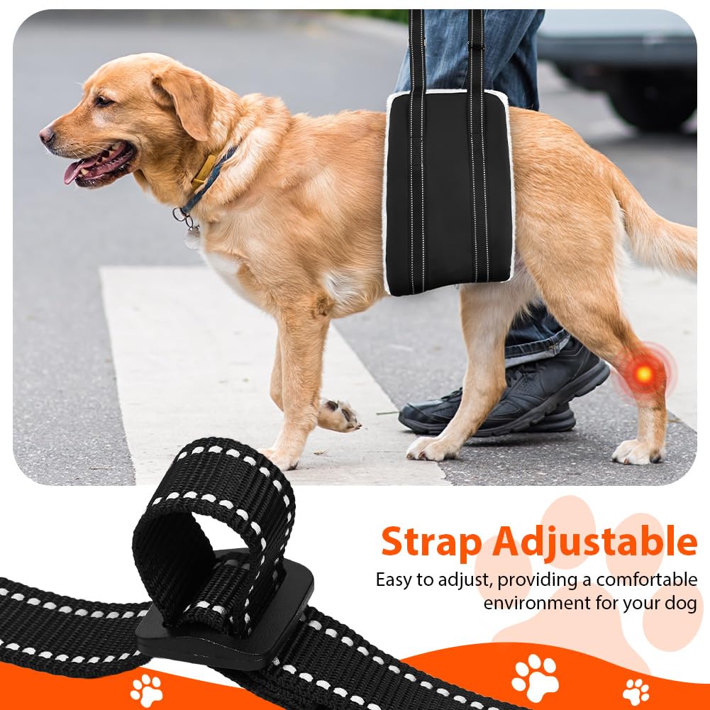Imbracatura per Cani Regolabile, Pettorina per Cani con Maniglia, Camminata Assistita, Cintura di Sostegno per Cane, Supporto per Cane Anziani e Disabili (S)