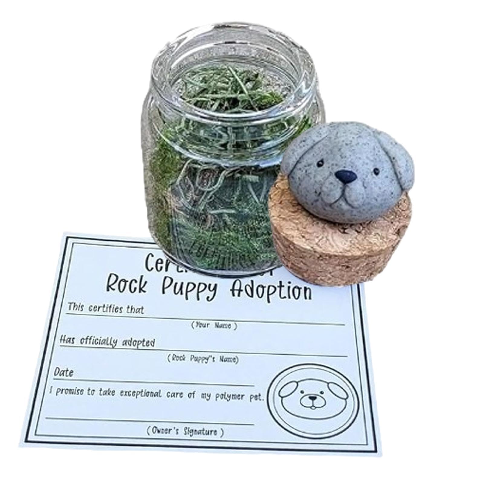 Adopt Rock Pet Hedgehog Desktop Pet Adoption Rock Pet with Certificate of Adoption Decoration