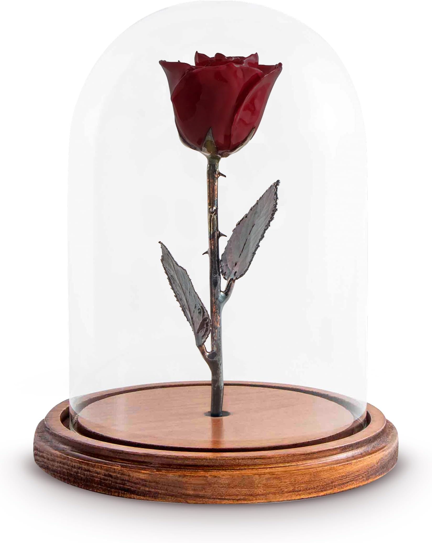 Forever Rose USA Brand - The Beauty and The Beast Rose - Enchanted Rose - This is a Real Rose! ... (Burgundy)