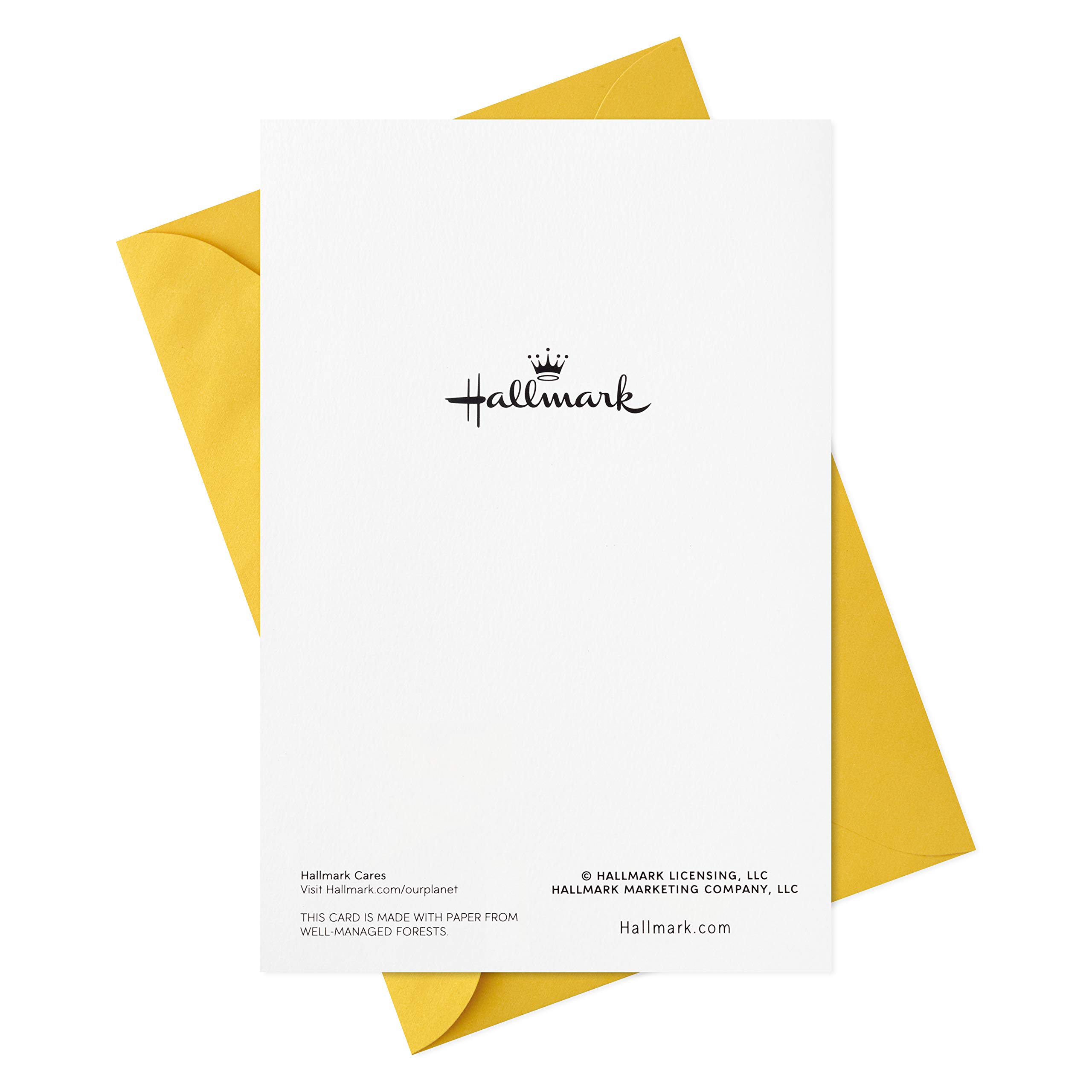 Snapklik.com : Hallmark Pack Of Easter Cards, Lots Of Happiness (6 Cards