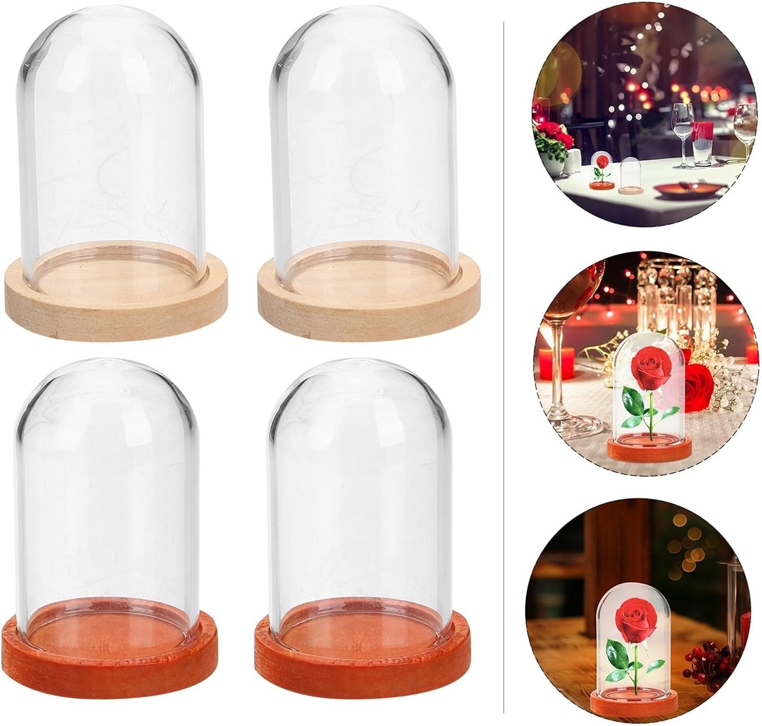 Mini Glass Dome Display Case with Wooden Base 10pcs