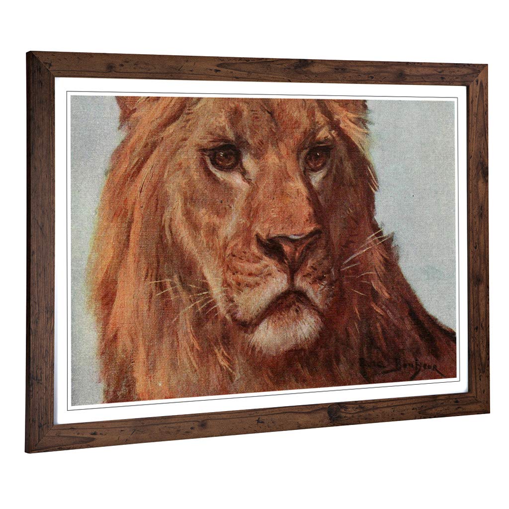Big Box Art Framed Print of Vintage Bonheur. Rosa The Lion Meditating Design | Wall Art Picture | Home Decor for Kitchen, Living Room, Bedroom, Hallway, Walnut, A2 / 24.5x18 Inch / 62x45cm