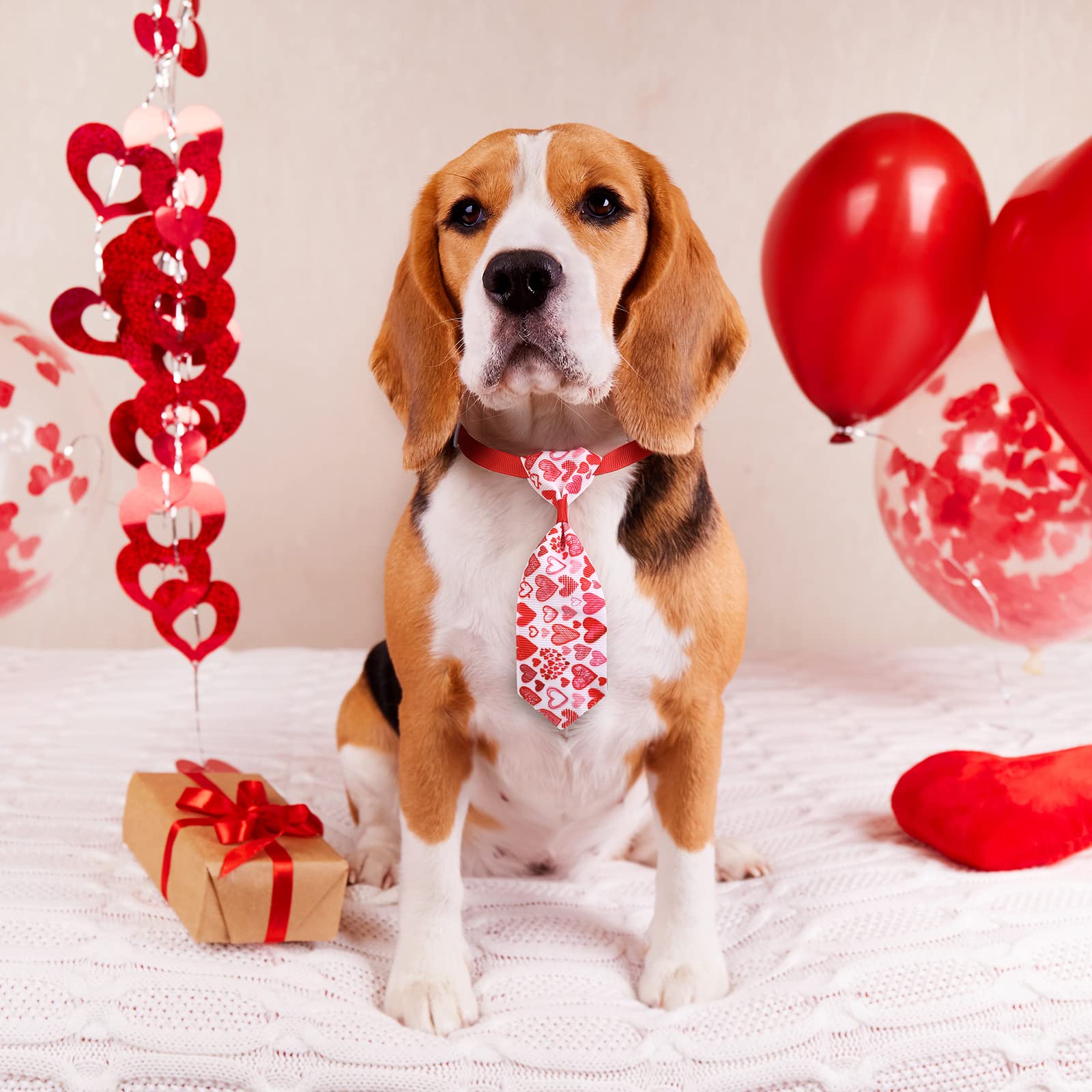 Reginary 40-teiliges Valentinstag-Set Für Haustiere – Fliegen, Krawatten & Halstücher Für Hunde & Katzen