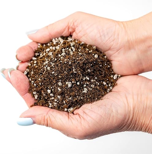 Miniatura 4 de Suelo profesional para plantas carnívoras  listo para usar para trampas Venus, rocío de sol, plantas de jarra, butterworts  Turba, fibra de coco,