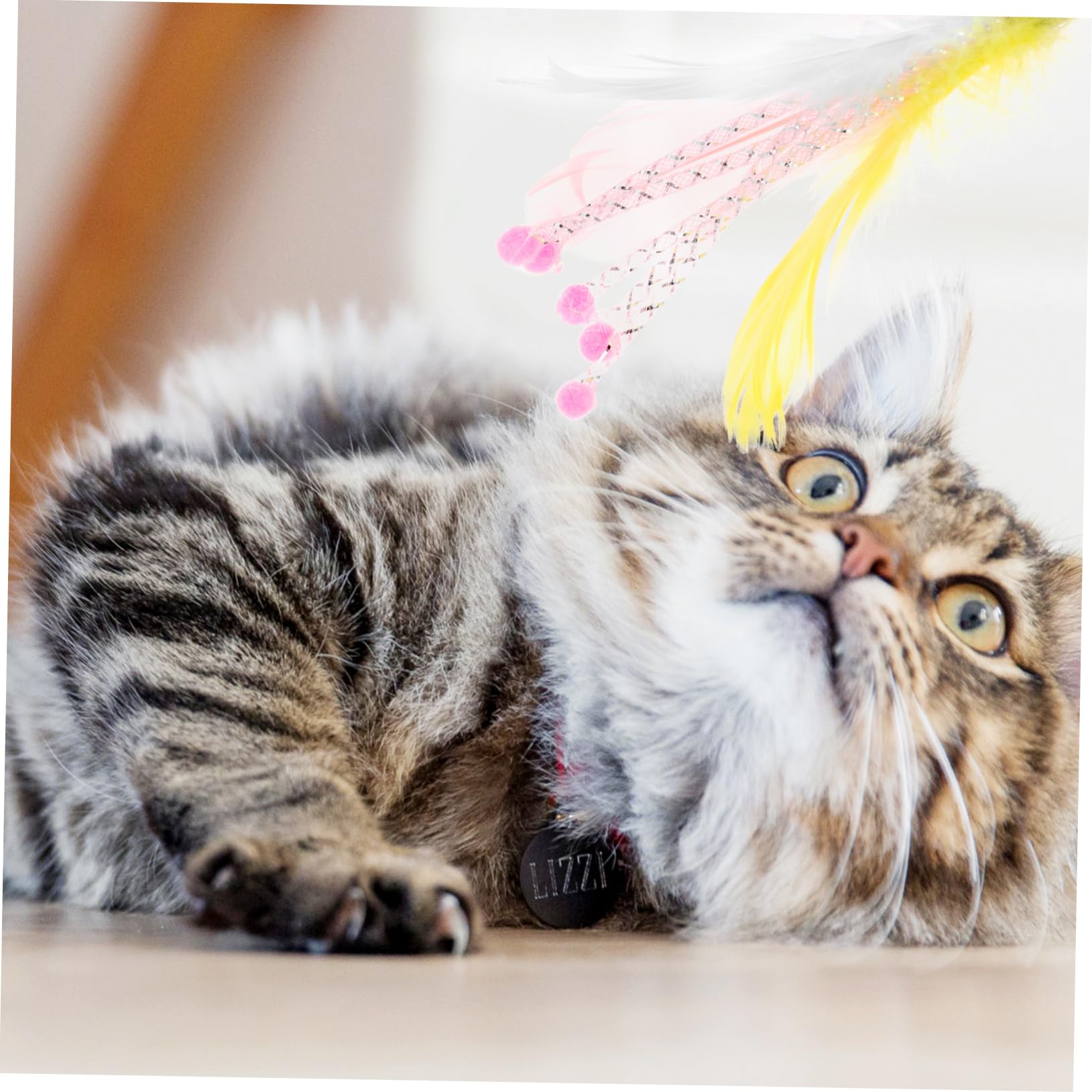 Kisangel 24stücke Teiliges Katzen-Spielzeug Federstäben Interaktive Katzenspielzeuge Spiel Und Bewegung Für Gemeinsame Spielstunden Mit Ihren Katzen