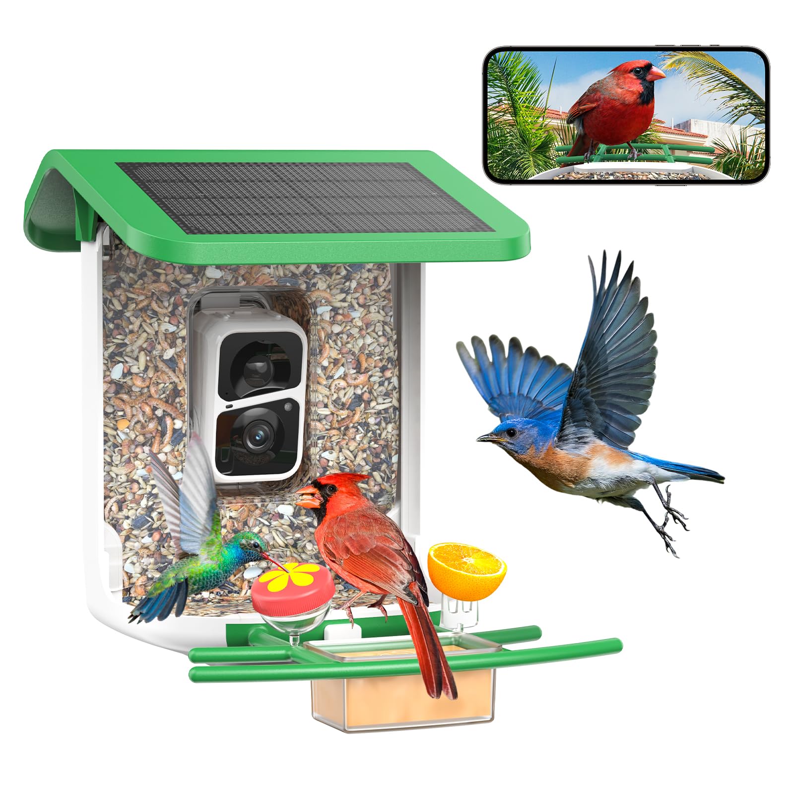 SMONET Bird Feeder with Camera B300-GR: Smart Birdhouse Camera AI Recognition Solar Powered,Outdoor Wireless WiFi Bird Feeder Watching Live Video,
