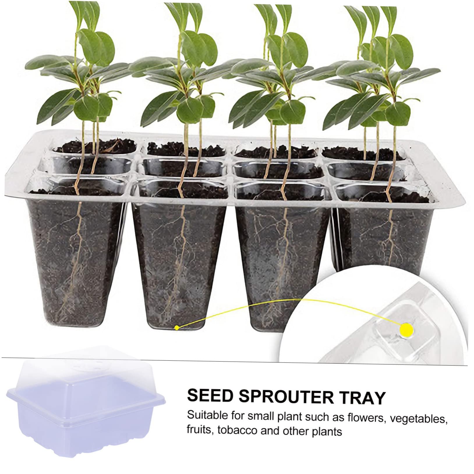 ibasenice 4 Ensembles Boîte à Semis Propagateurs Graine De Démarrage Germées De Haricot Mungo Bacs De Jardin pour Plantes Plateaux De Germination Propagation Blanche Plastique