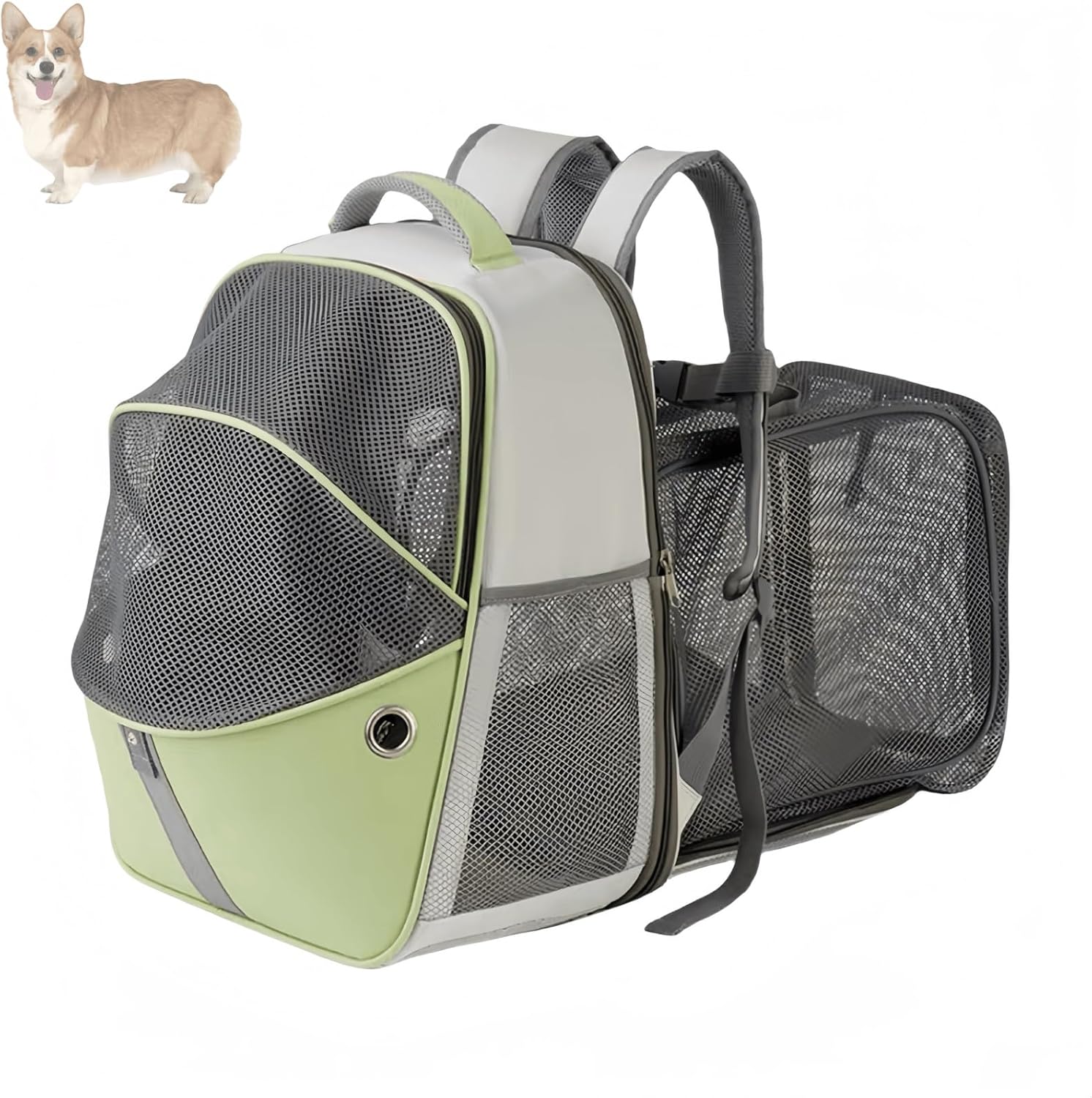 Pet Bubble Backpack, Expandable Pet Backpack, Airline Approved Pet Backpack for Small Dogs, Dog Travel Backpack, Cat Bag Backpack with Cat Toys for Travel, Hiking and Outdoor Use.(Gray-Black)