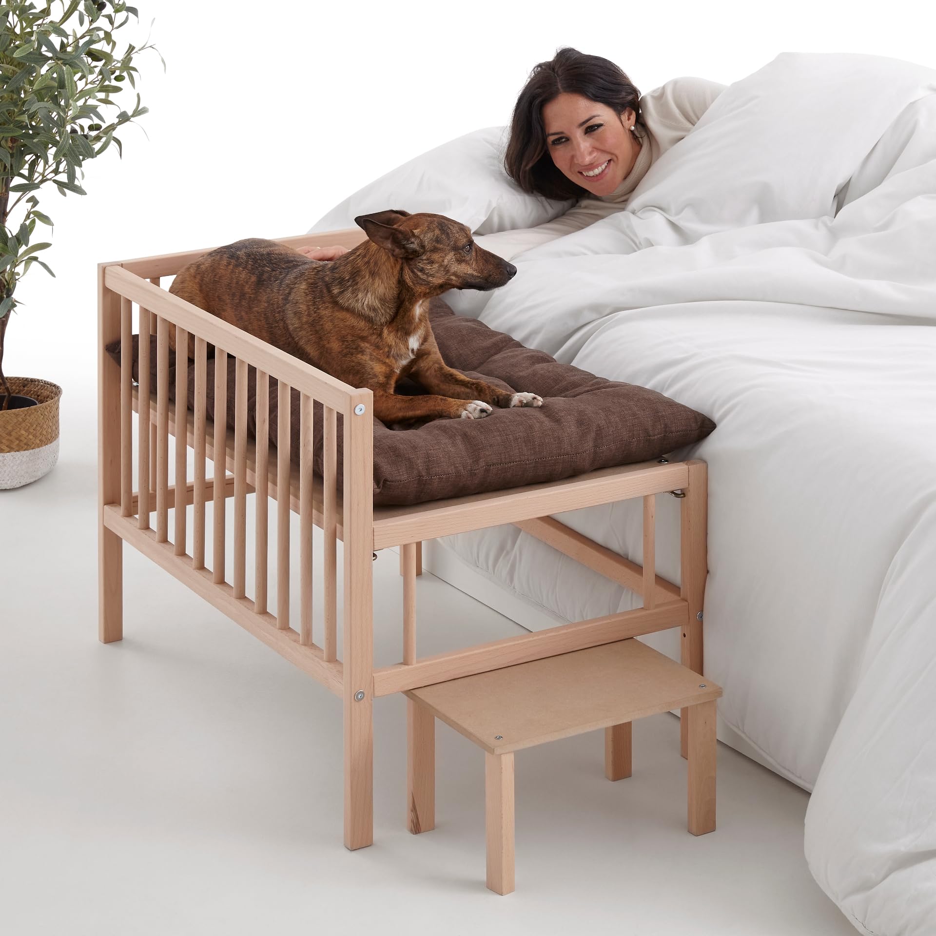 COOL · DREAMS Cama elevada de Madera con Escalera para Mascota con colchón. Colecho Junto a tu Mascota (2 Alturas). Ideal para Mascotas Medianas, pequeñas o Mascotas Senior - Faunatic CoolDreams