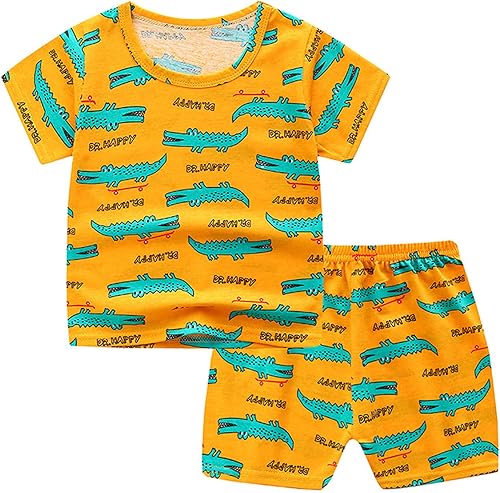 Conjuntos de camisetas sin mangas para niños pequeños, trajes diarios de 2 piezas para bebé prematuro (amarillo, 18-24 meses)