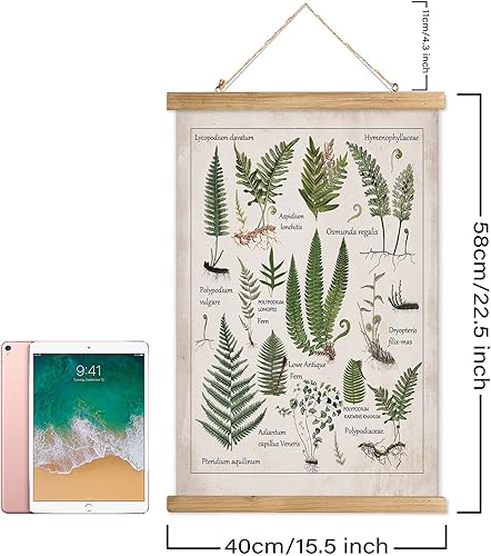 Miniatura 237 de XIAOAIKA Póster de botánica vintage con marco de madera, tabla de plantas venenosas antiguas, arte educativo botánico con especies peligrosas, 1