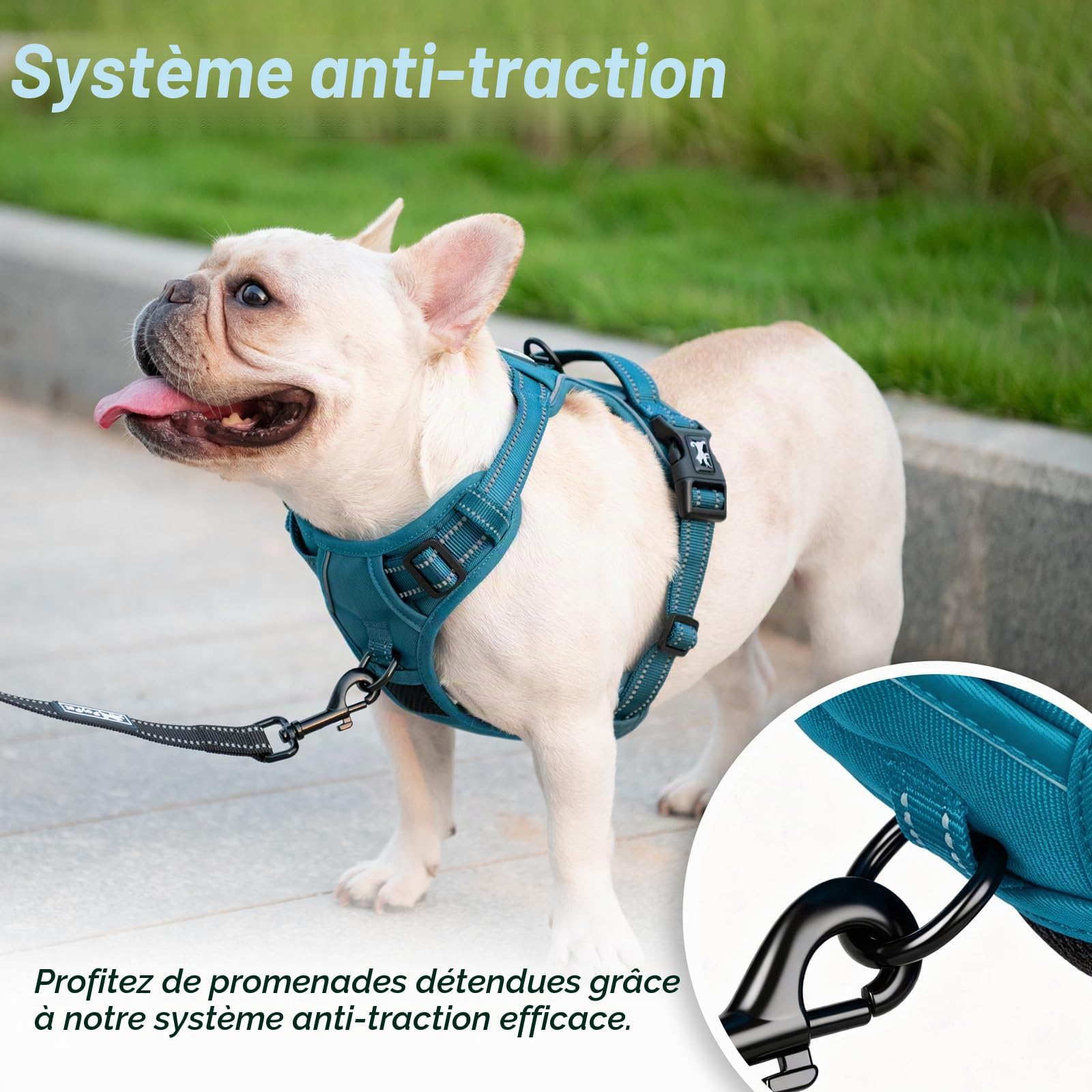 Poypet Harnais pour Chien sans Pull - RéFléChissant - Gilet pour Chien - RéGlable Et Doux - avec PoignéE Easy Control - pour Petits Et Grands Chiens (Bleu Sarcelle,Size, S)