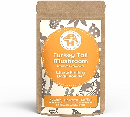 Hongo Mushroom Power - Polvo de hongo cola de pavo