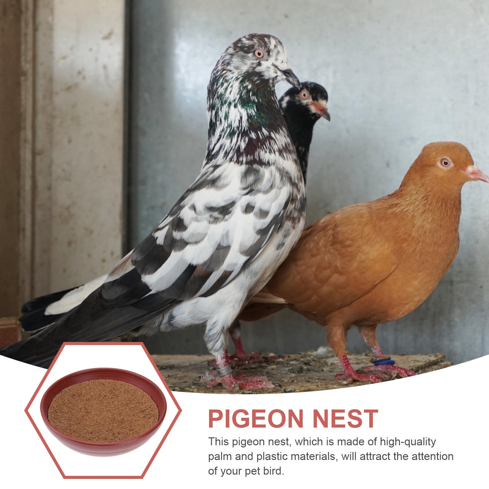 LALAFINA Lot de 6 Accessoires pour Pigeons Voyageurs Comprenant Nids Confortables, Pots à Œufs Imitation Terre Cuite et Tapis en Palmier pour Élevage Domestique