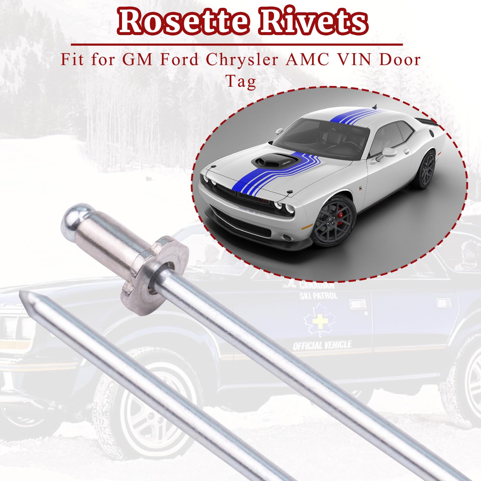 Stainless Steel Rosette Rivets - Universal Fit -7 Stainless Steel Rosette Rivets - Universal Fit -7