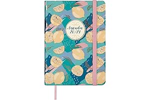 Action Day Planner 2020-2021 Agenda Course