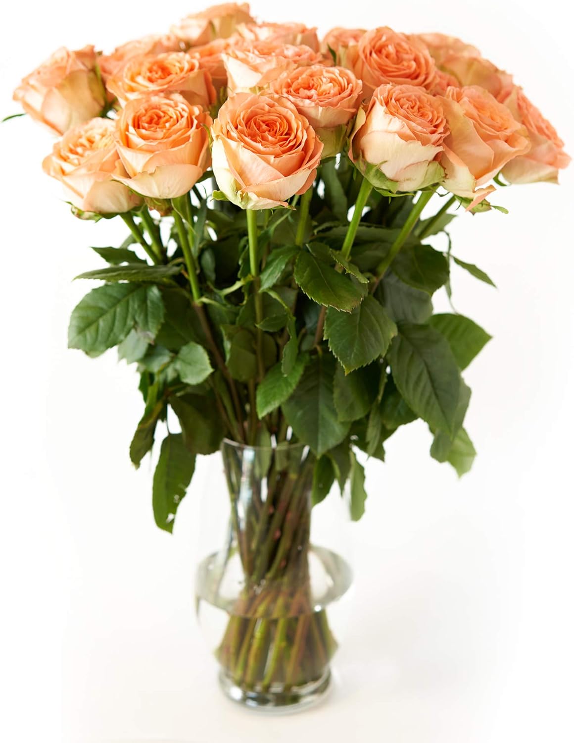 Orange Roses Flower Bouquet Beautiful Orange Roses