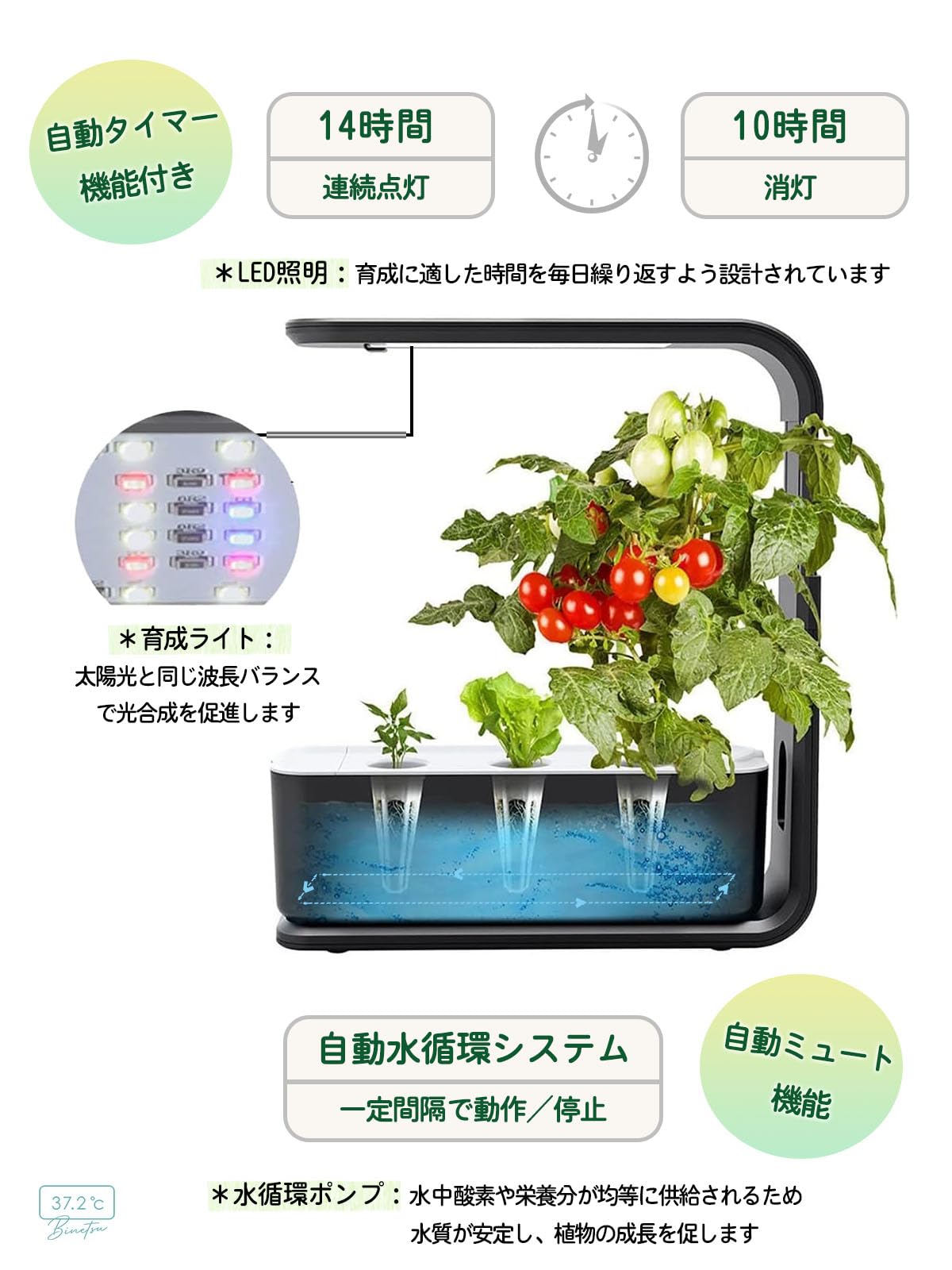 Amazon.co.jp: 水耕栽培キット スタイリッシュ コンパクト 水耕栽培 