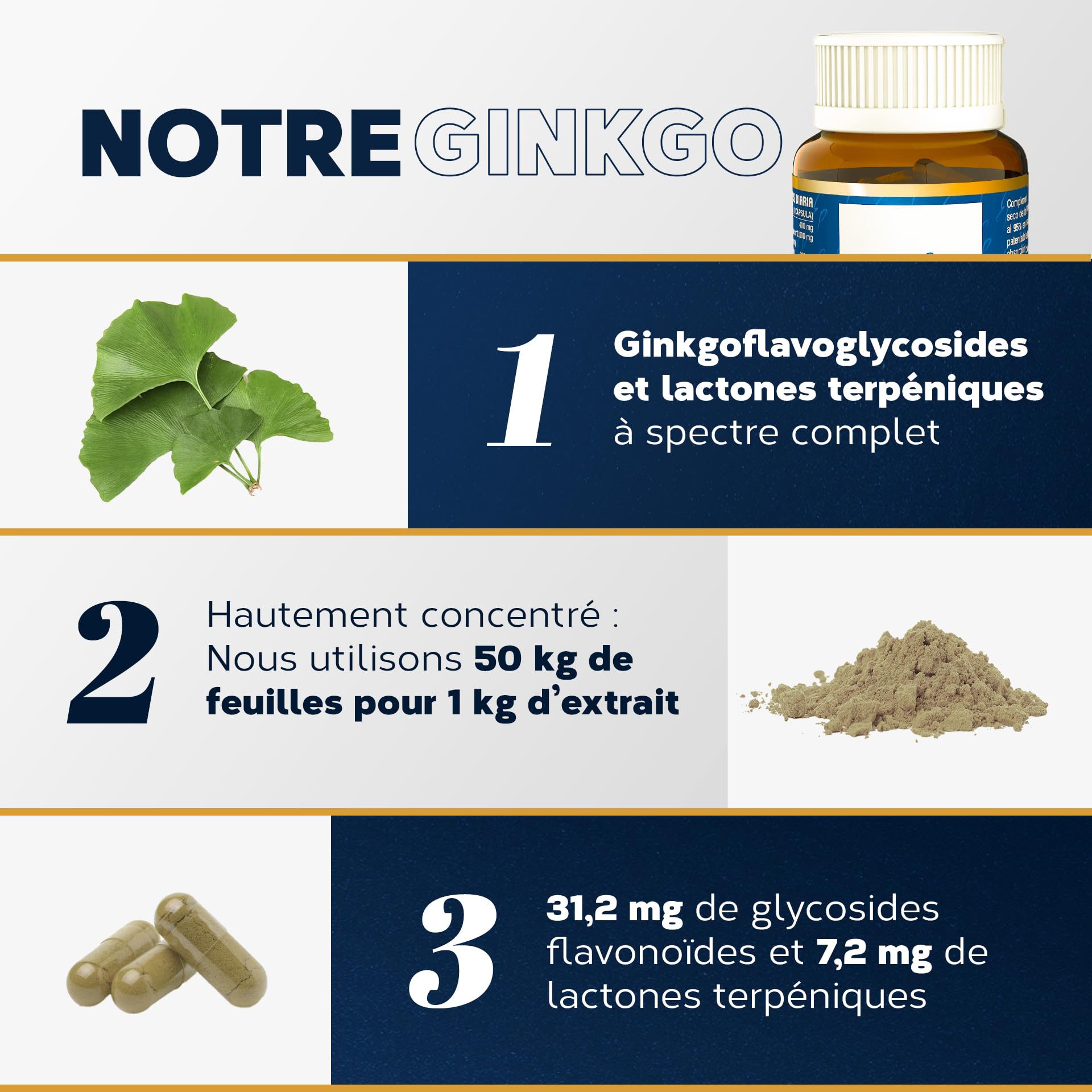 Ginkgo Biloba 6500 mg Essence Pure | Complément Alimentaire, 80 Gélules Végétales, 24% Ginkgoflavoglycosides, 6% Lactones | Soutient la Mémoire et la Circulation, Api-Nature