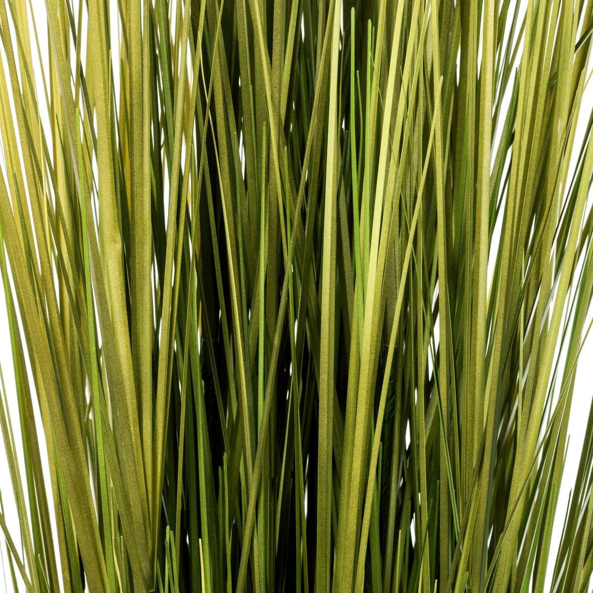 AC-Déco Künstlicher Grasfang, 12 x 100 cm