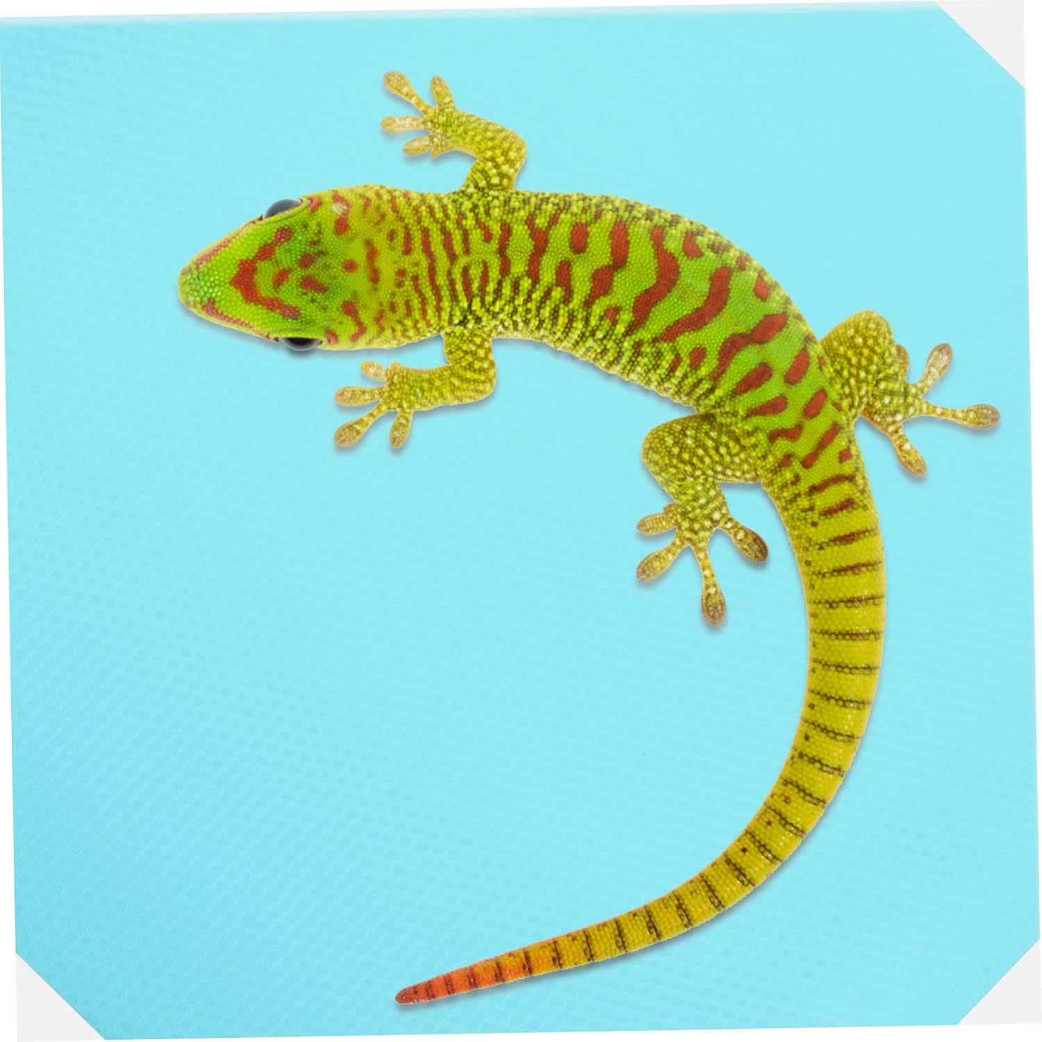 Happyyami Reptile Carpet Mat for Bearded Dragons Tortoises and Geckos Soft Terrarium Liner Washable and Easy to Cut for for Snakes and Lizards