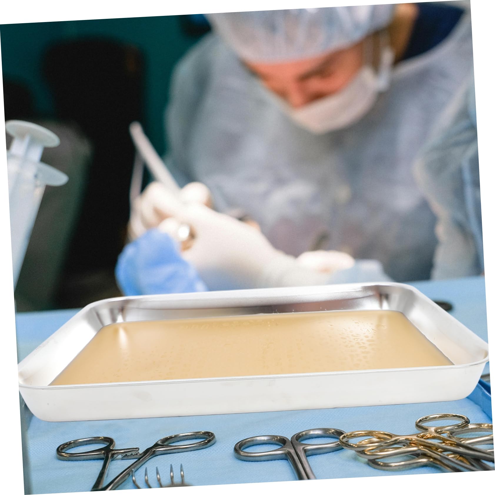 Acier Plateau de Dissection Inoxydable en Étudiants en Biologie