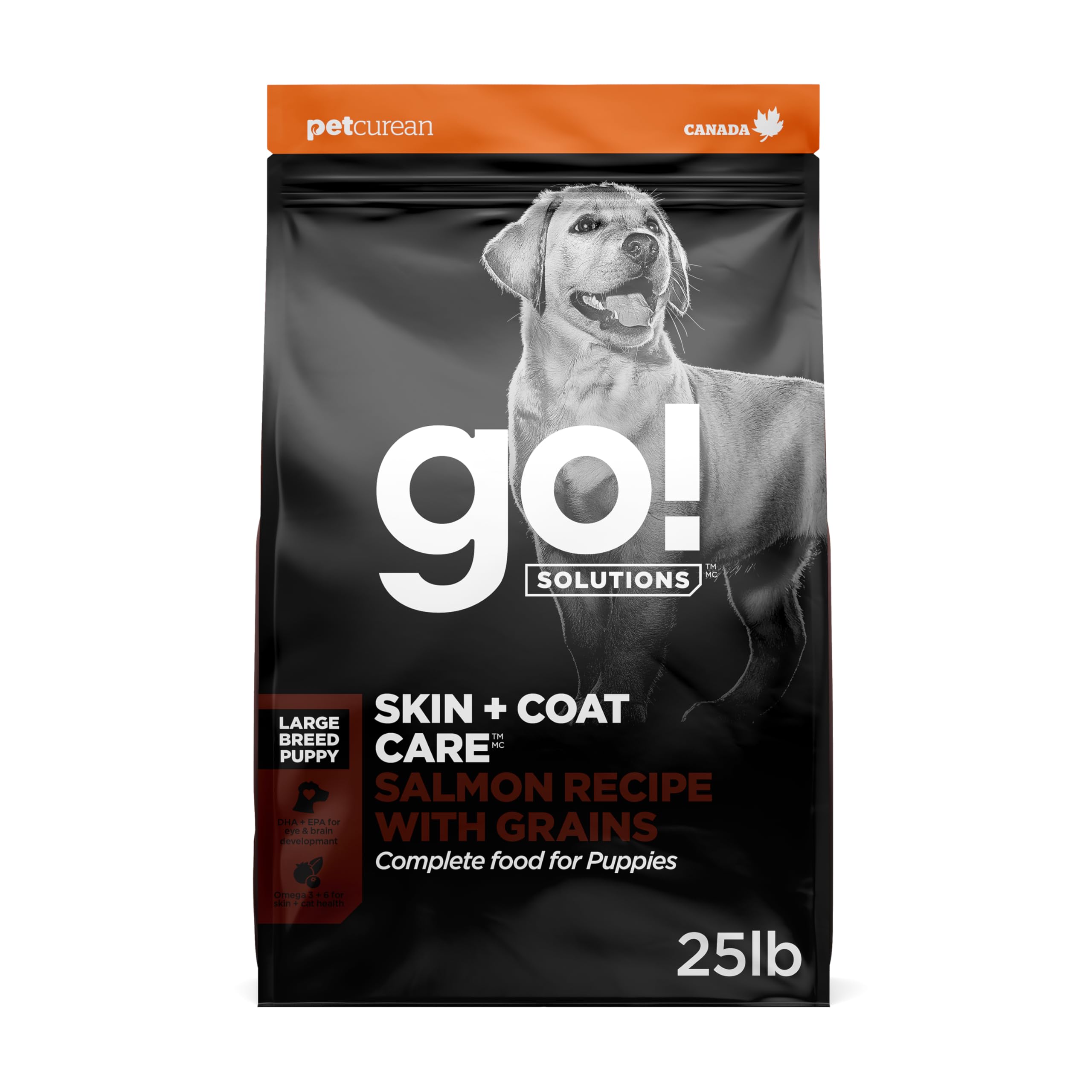 Go! Solutions Salmon Large Breed Puppy