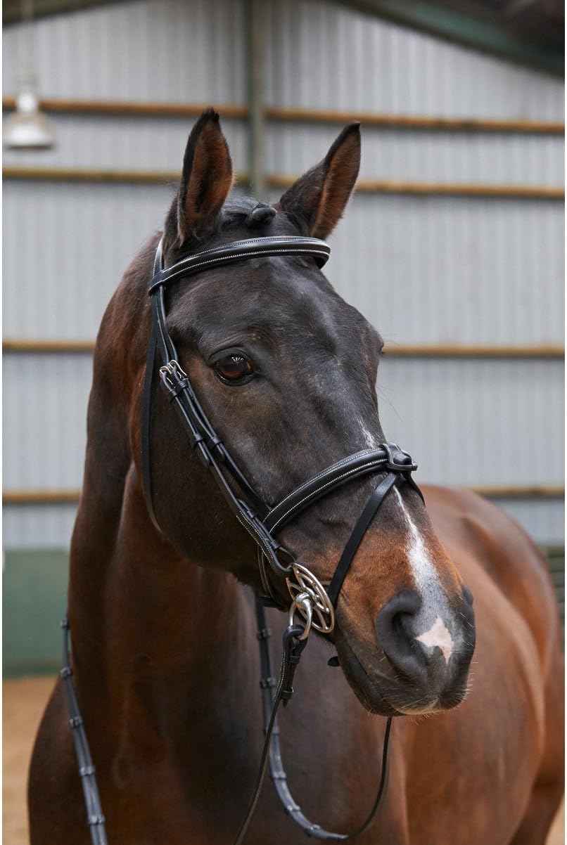 John Whitaker Eastwood Raised Flash Snaffle Bridle Full Size Black