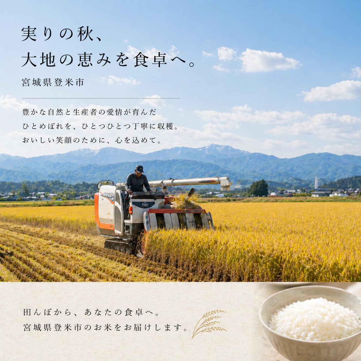 Amazon.co.jp: 令和7年産 宮城県 登米産 ひとめぼれ 20kg (5kg×4)【無