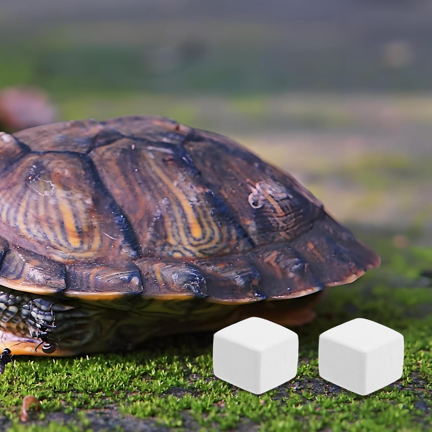 6pcs Natural Mineral Block for Hermit Crabs and Small Animals with Continuous Mineral Release and Immune System Boost for Outdoor Activities and Lizard Terrariums