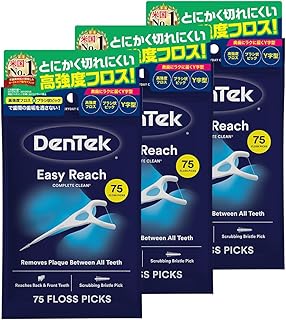 DenTek コンプリートクリーンイージーリーチ デンテック 歯間…