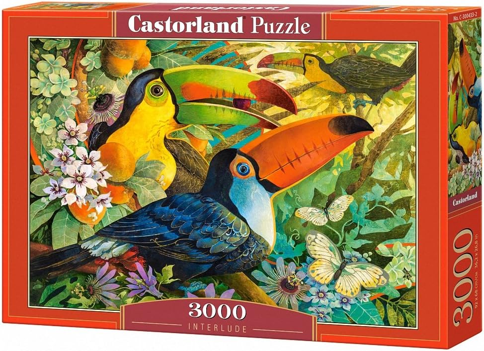 Castorland Interlude Puzzle (3000 Piece)