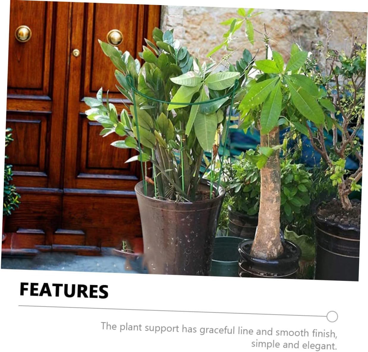 6pcs DIY Flower Support Racks Plant Holder Semicircle Stakes for Garden Decor