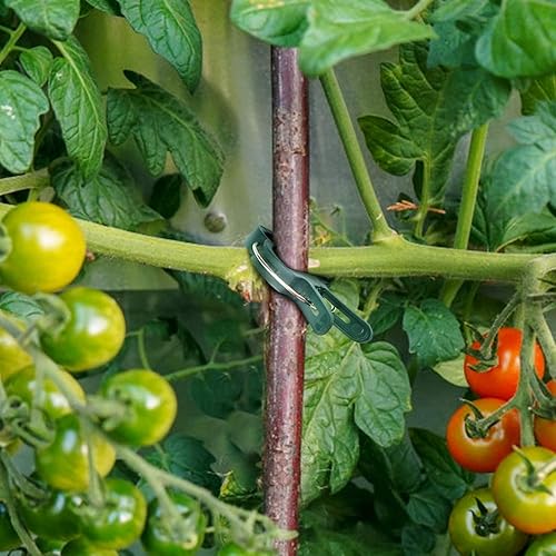 Miniatura 6 de iPower 80 clips para enderezar estacas de bambú y jaulas de tomate, herramientas de jardinería para apoyar enredaderas, tallos, tallos y enrejados