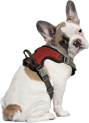 Miniatura 82 de Littlearth NCAA Unisex NCAA Front Clip Pet Harness 38-Color del