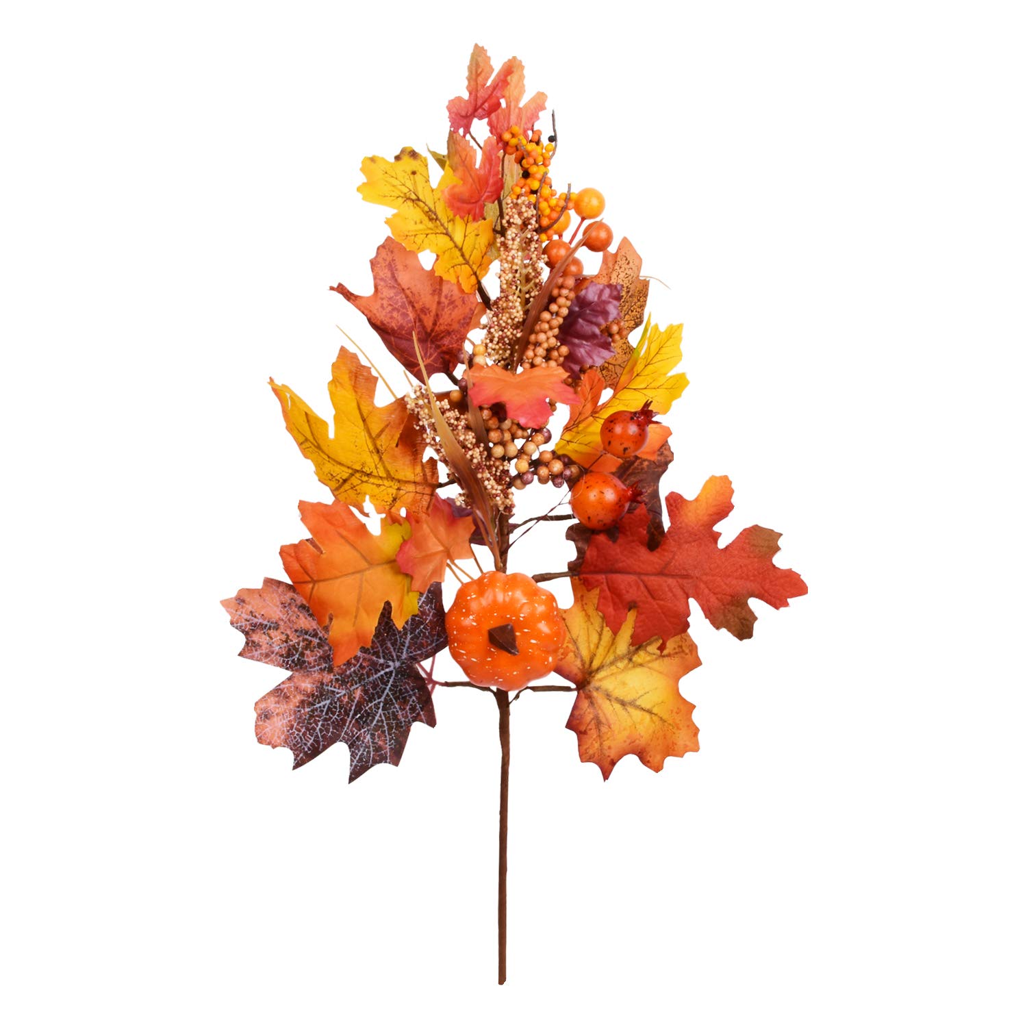 pumpkin-leaf-pattern-patterns-gallery