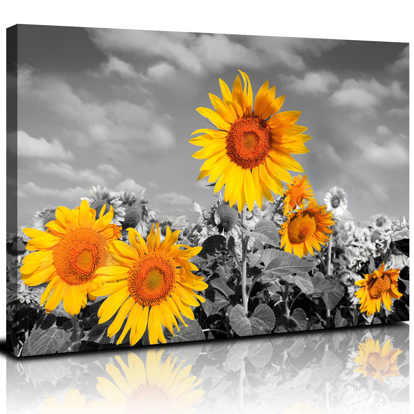 Sunflowers In Black And White