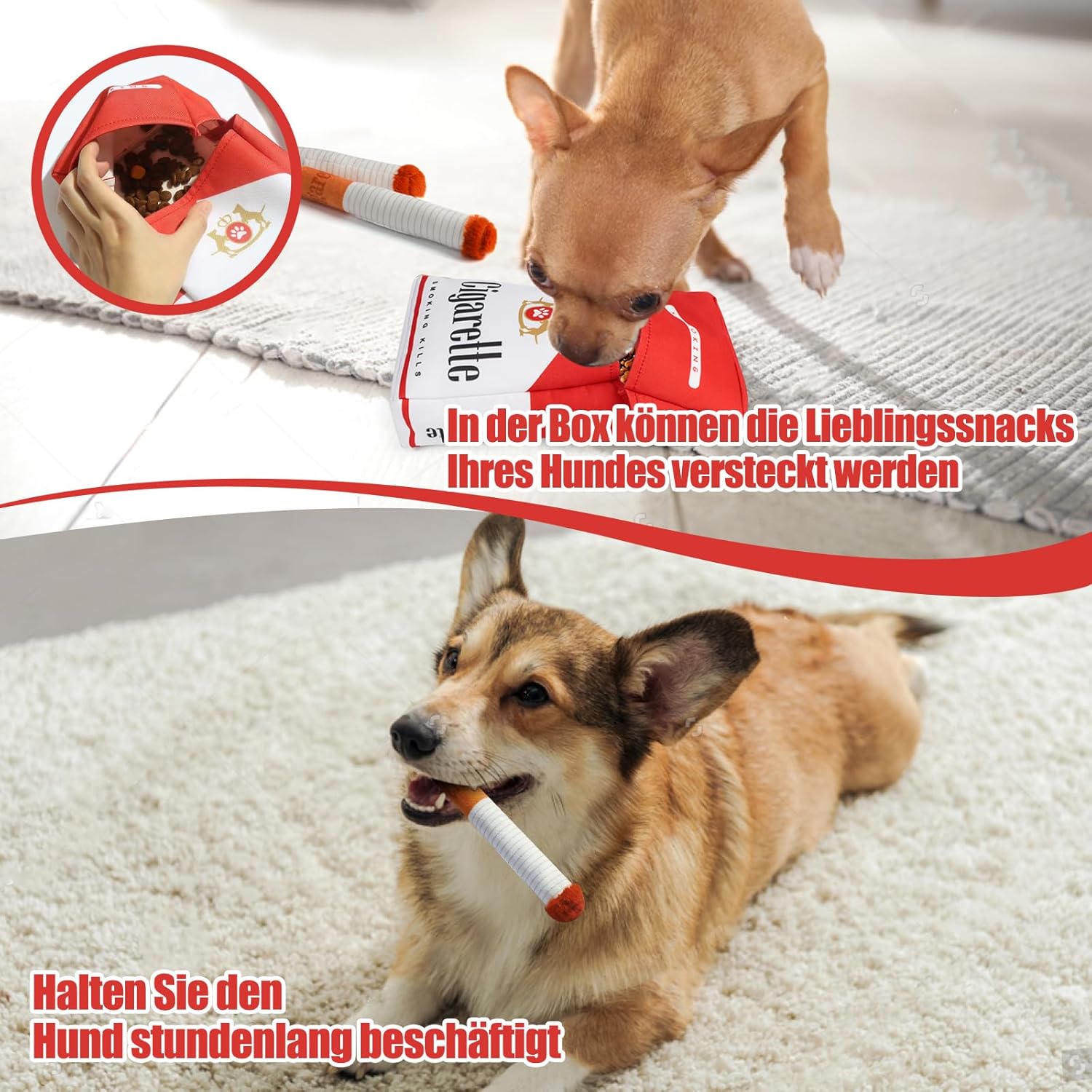 Aiorber Interaktives Hundespielzeug Quietschend 8